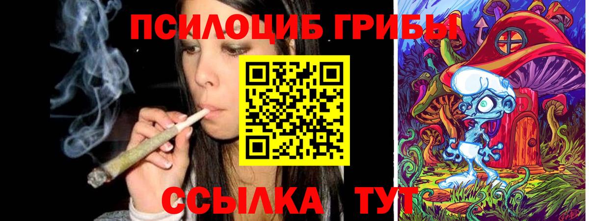 Севастополь  Галлюциногенные грибы MAGIC MUSHROOMS  Вход с VPN 