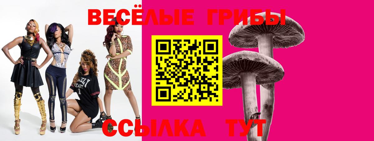 Галлюциногенные грибы GOLDEN TEACHER Севастополь